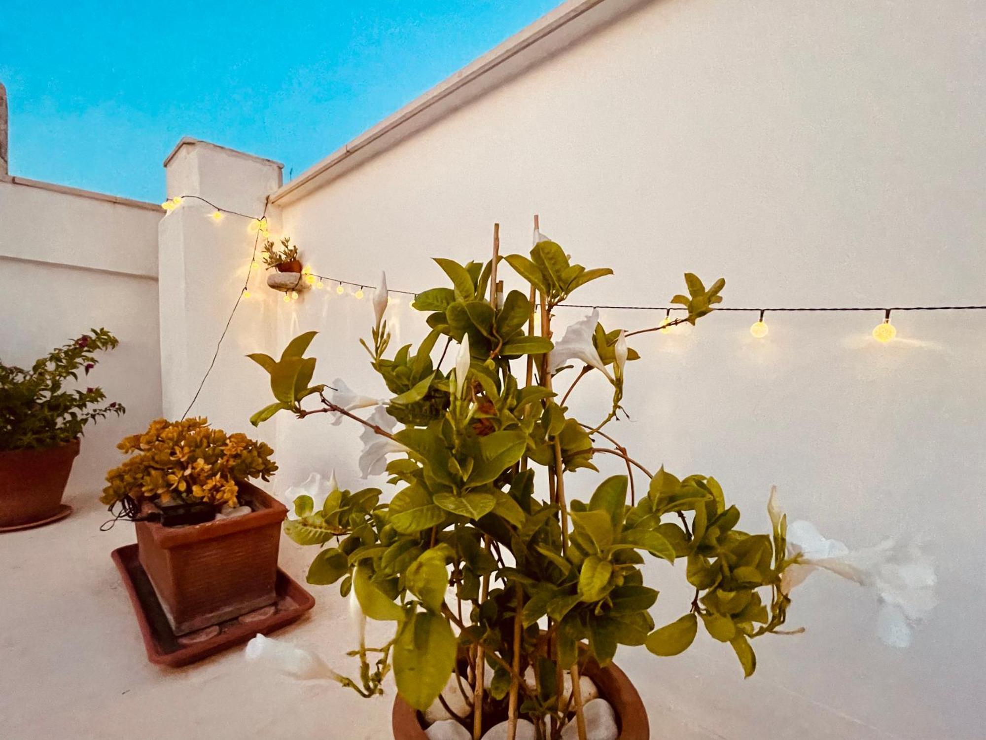 Le Nicchie Villa Bisceglie Dış mekan fotoğraf